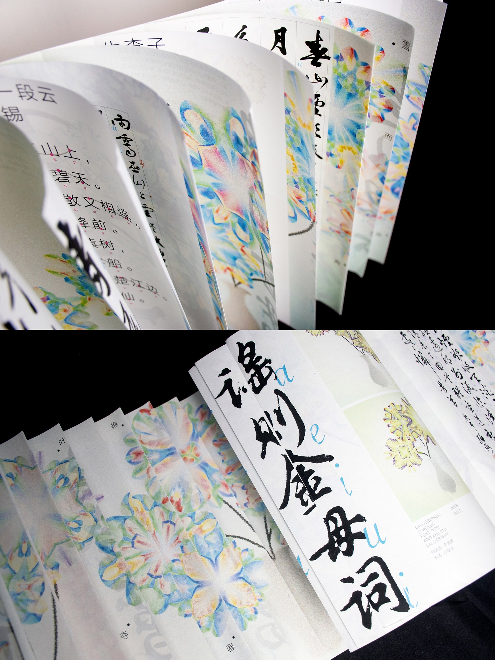 Flowers Blooming — zLiii — 作品图 22