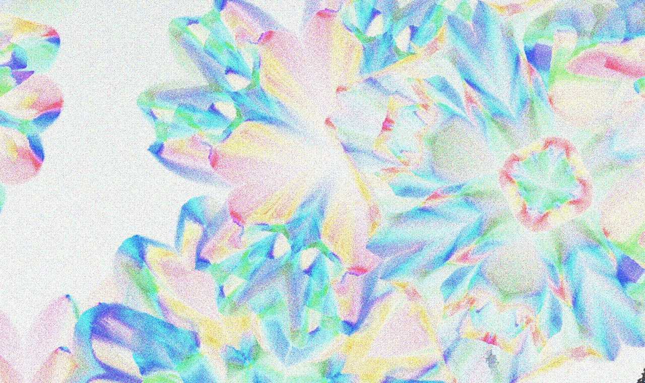 Flowers Blooming — zLiii — 作品图 3