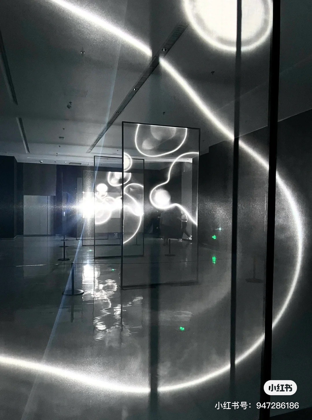 Light Creature — zLiii — 作品图 3