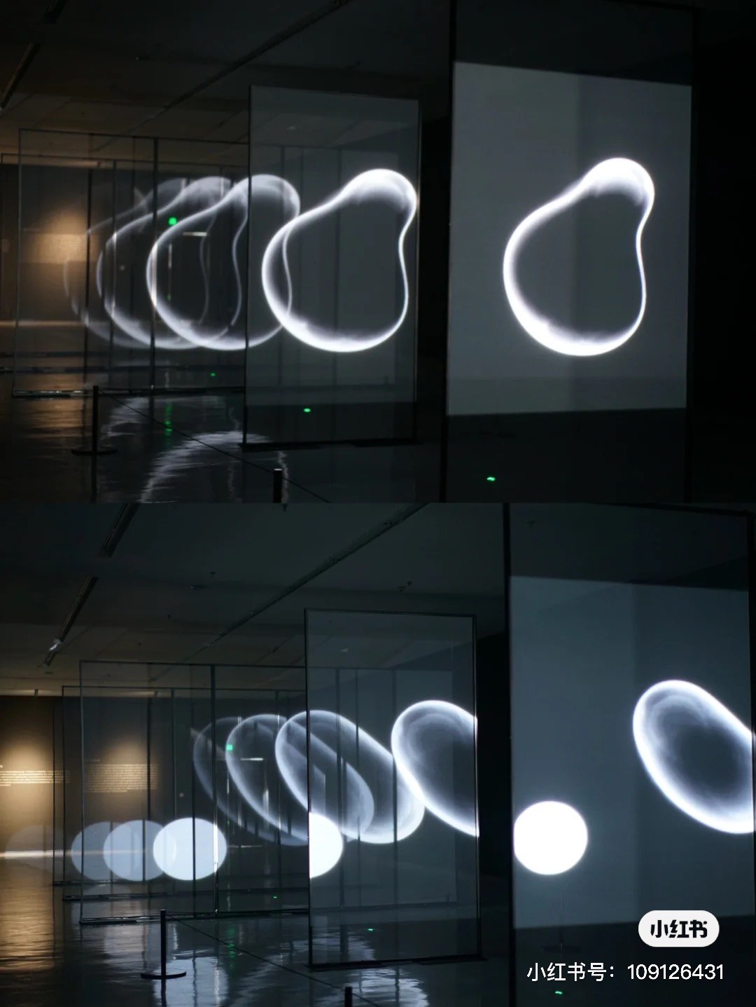 Light Creature — zLiii — 作品图 5