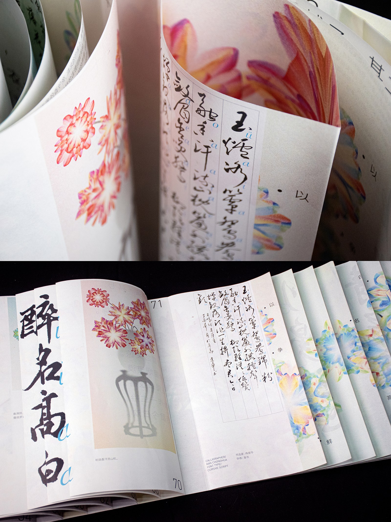 Flowers Blooming — zLiii — 作品图 21