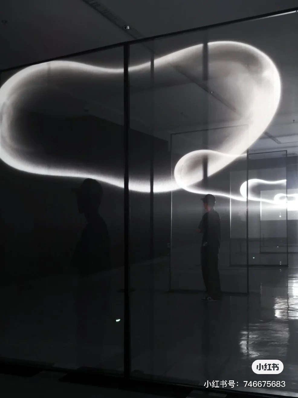 Light Creature — zLiii — 作品图 8