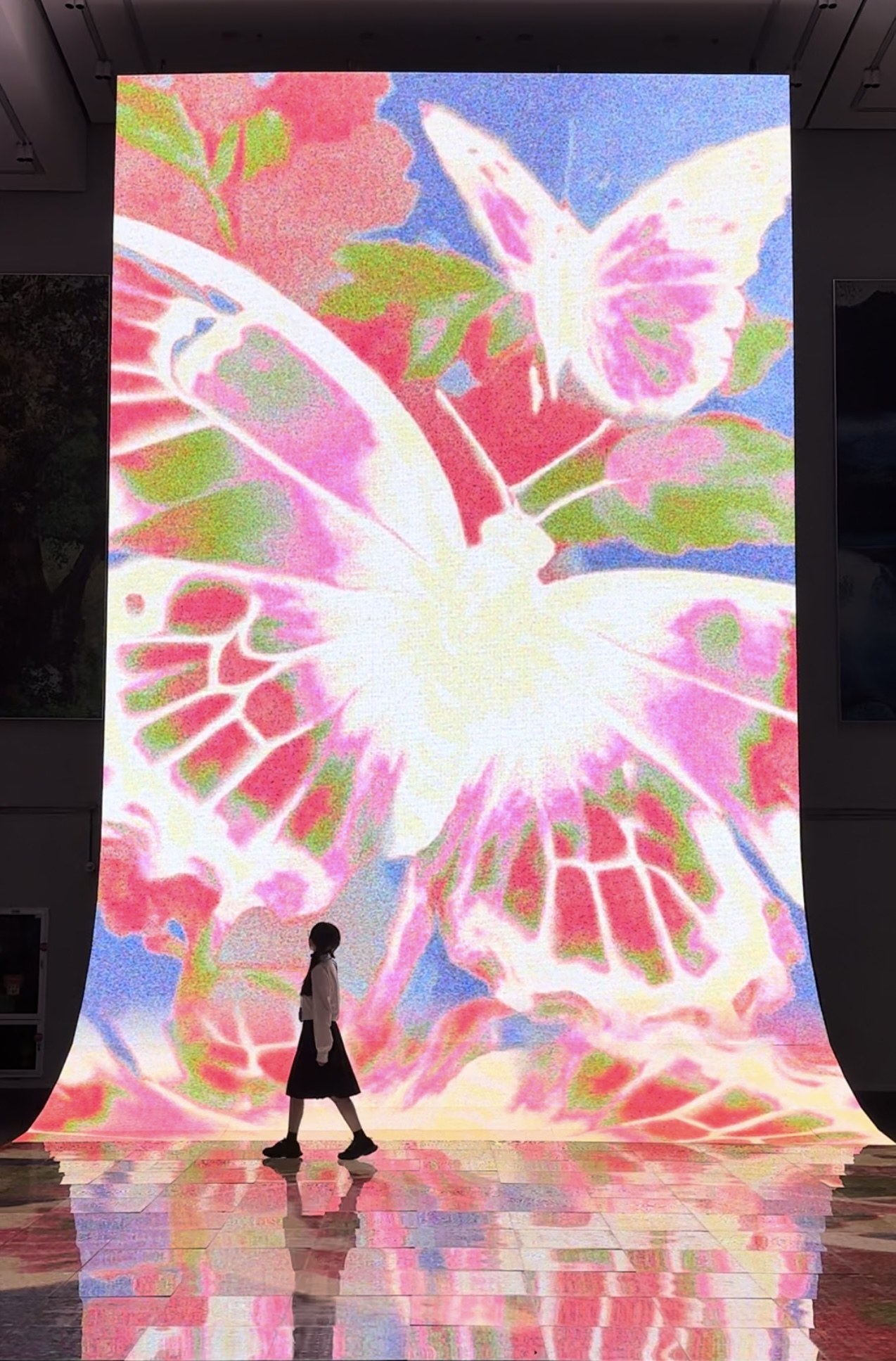 梦 Dream — 作品图 4
