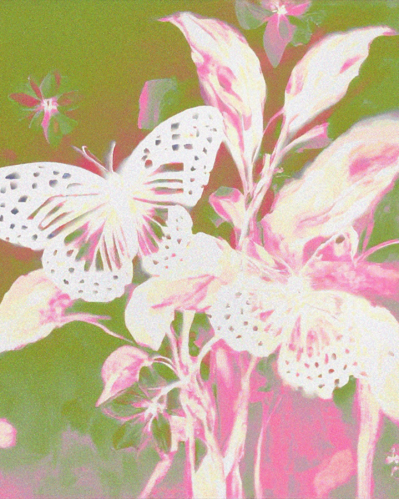 Dream — zLiii — 作品图 8