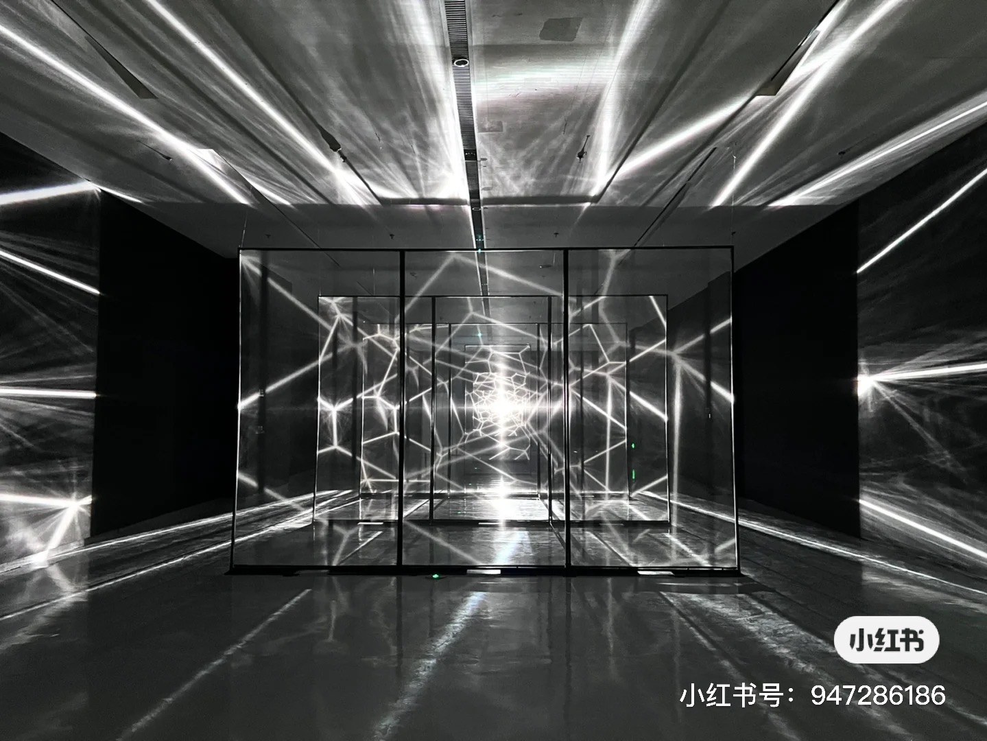 Light Creature — zLiii — 作品图 10