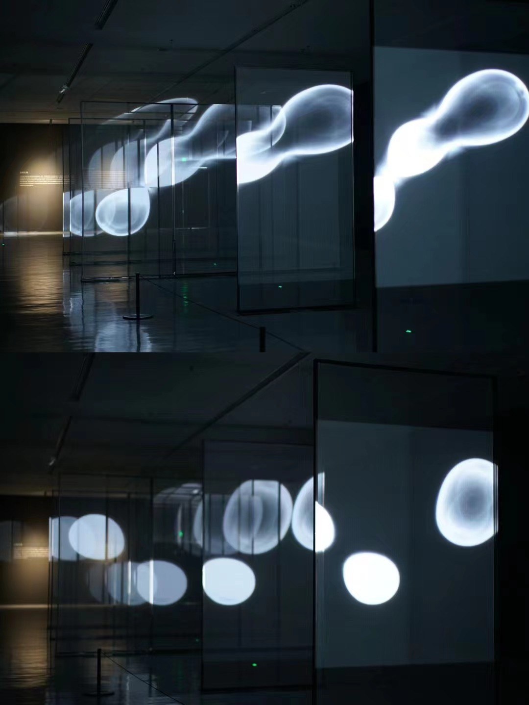 Light Creature — zLiii — 作品图 4